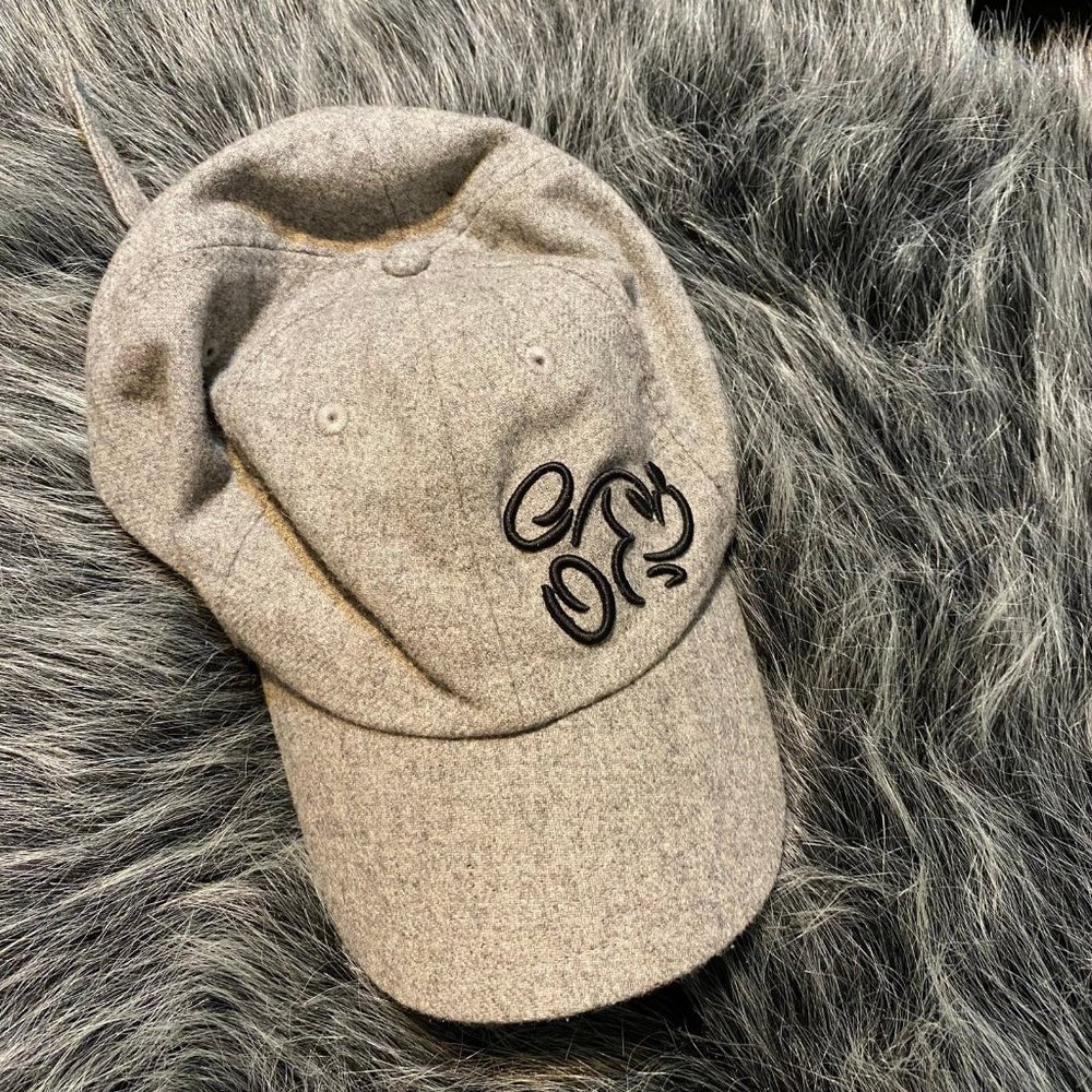 Walt Disney world parks grey wool baseball cap